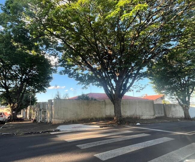 Imagem leilão