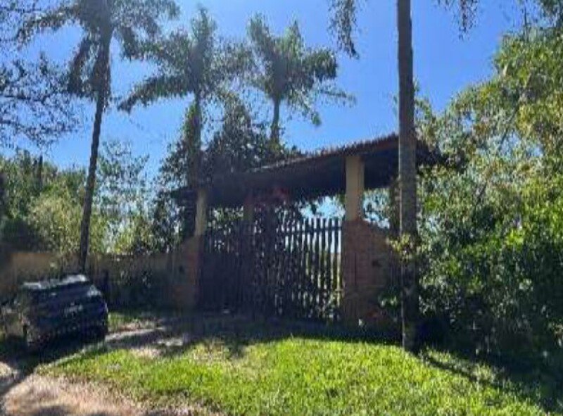 Imagem leilão