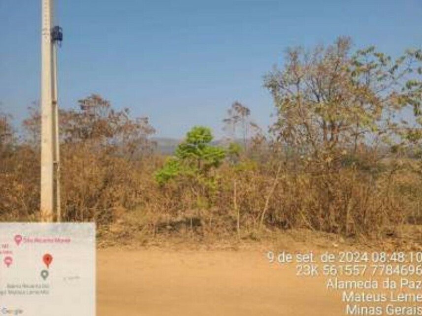 Imagem leilão