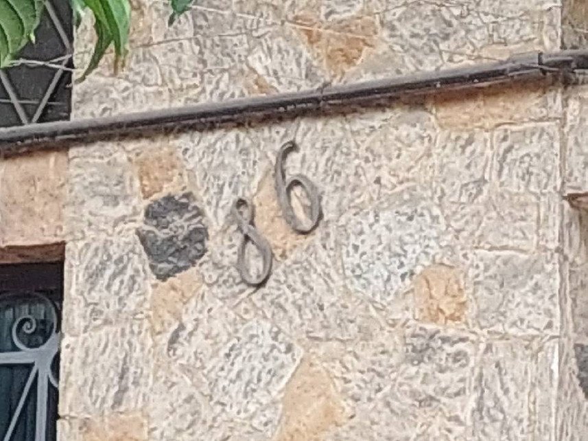 Imagem leilão