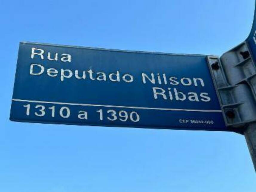 Imagem leilão