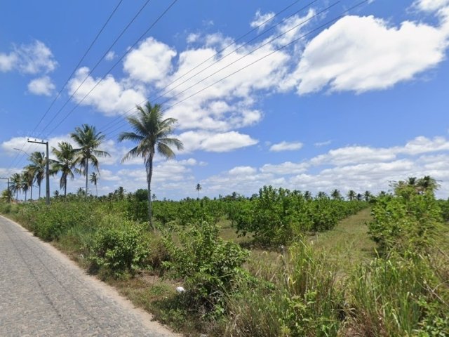 
                        Imóvel Rural, 2.73ha, Povoado Matinha, Umbaúba/SE em Umbaúba/SE - foto 2