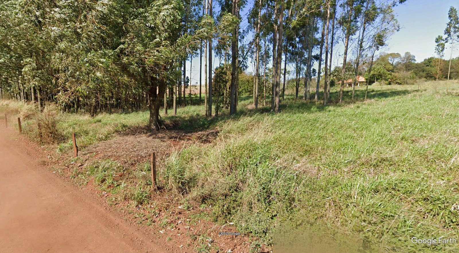 Imagem leilão