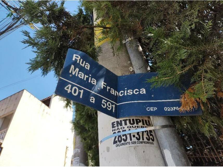Imagem leilão