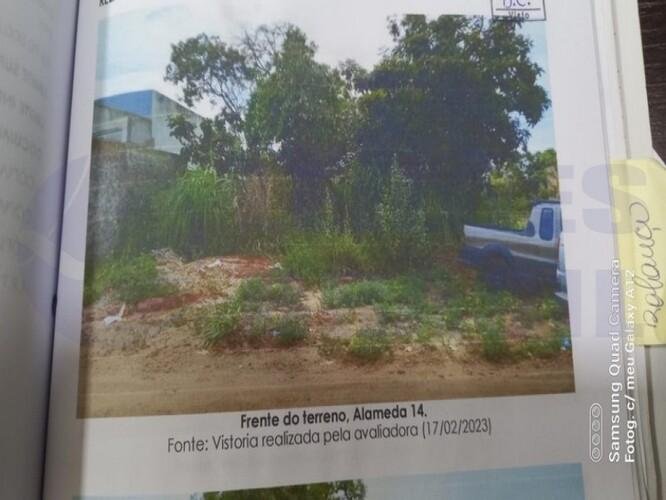 Imagem leilão