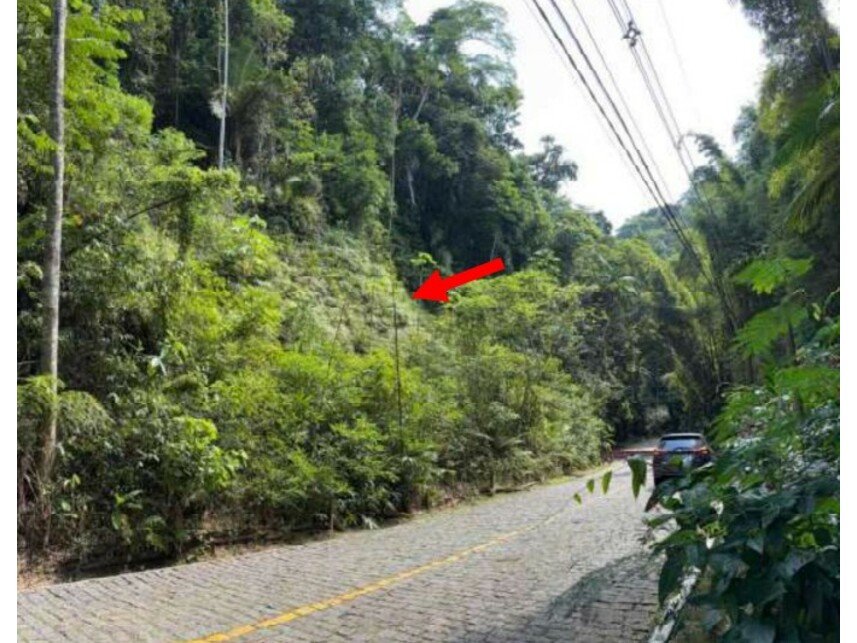 Imagem leilão