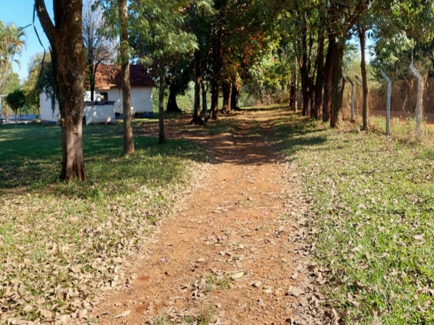 Imagem leilão