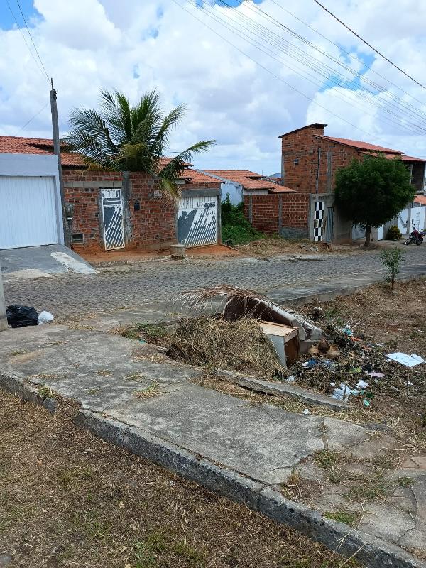 Imagem leilão