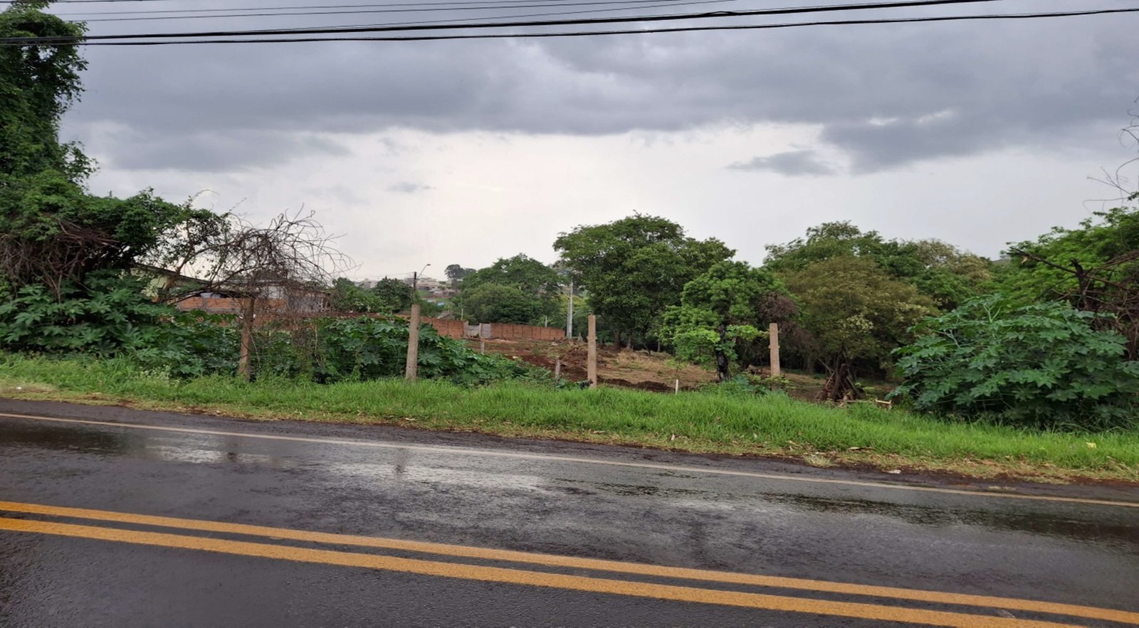 Imagem leilão