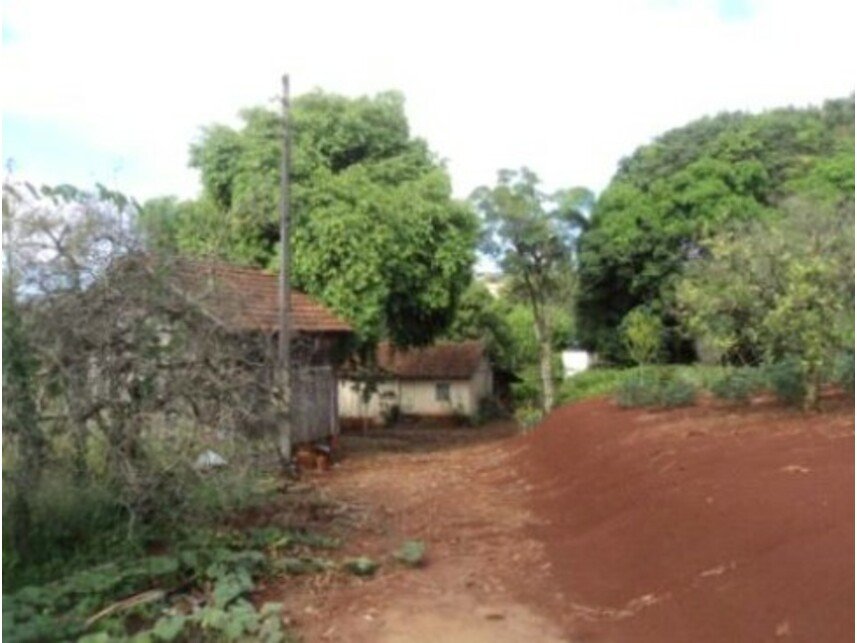 Imagem leilão
