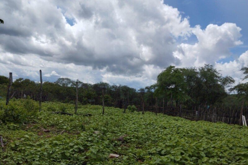PERNAMBUCO - SALGUEIRO/PE - FAZENDA/ÁREA RURAL em Salgueiro/PE - foto 3