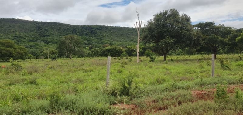 IMÓVEL RURAL COM ÁREA DE 1.899,2700HAS, "FAZENDA VALENT.. em Rosário Oeste/MT - foto 41