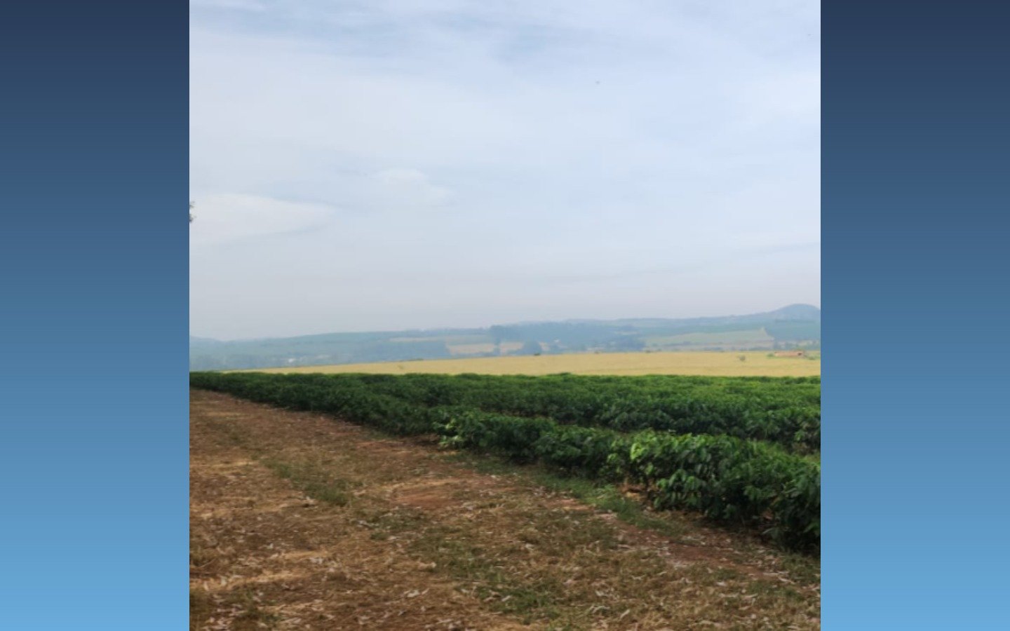 Terreno rural de 72.600m² — Boa Esperança/MG em Boa Esperança/MG - foto 3