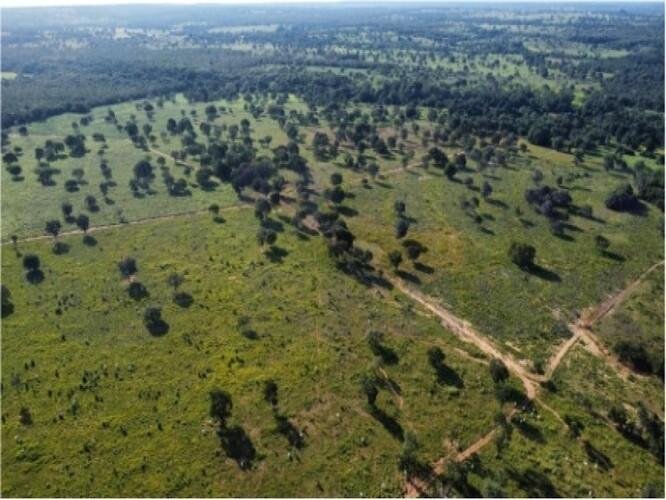 ID Bem 147625 - Lote:
    1 - 3.466 - ARAGUACU/TO - GLEBA - COM ÁREA DE 52.66.00ha em Araguaçu/TO - foto 4