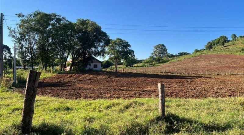 Imagem leilão