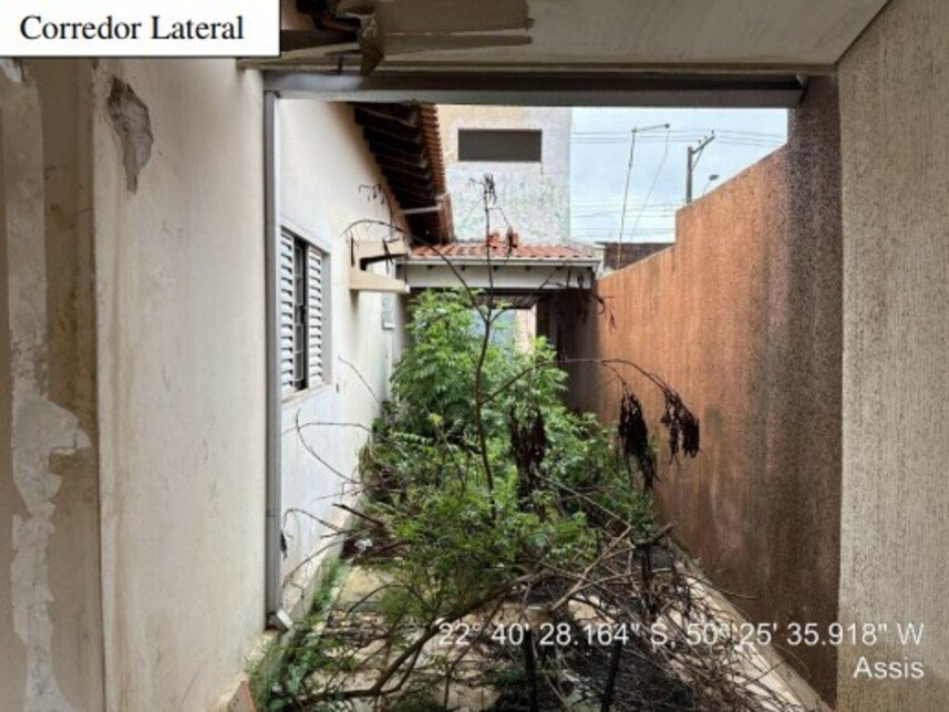 Imagem leilão