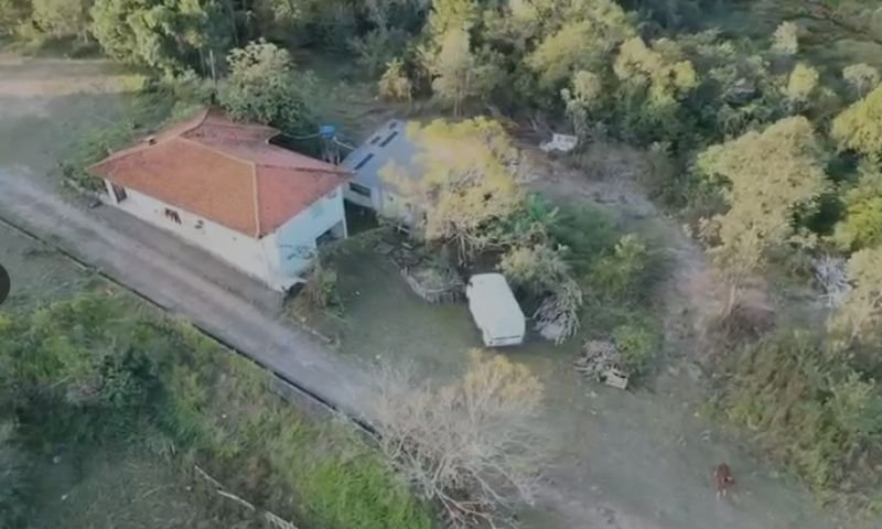 Imagem leilão
