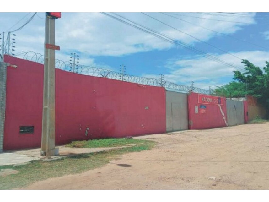Imagem leilão