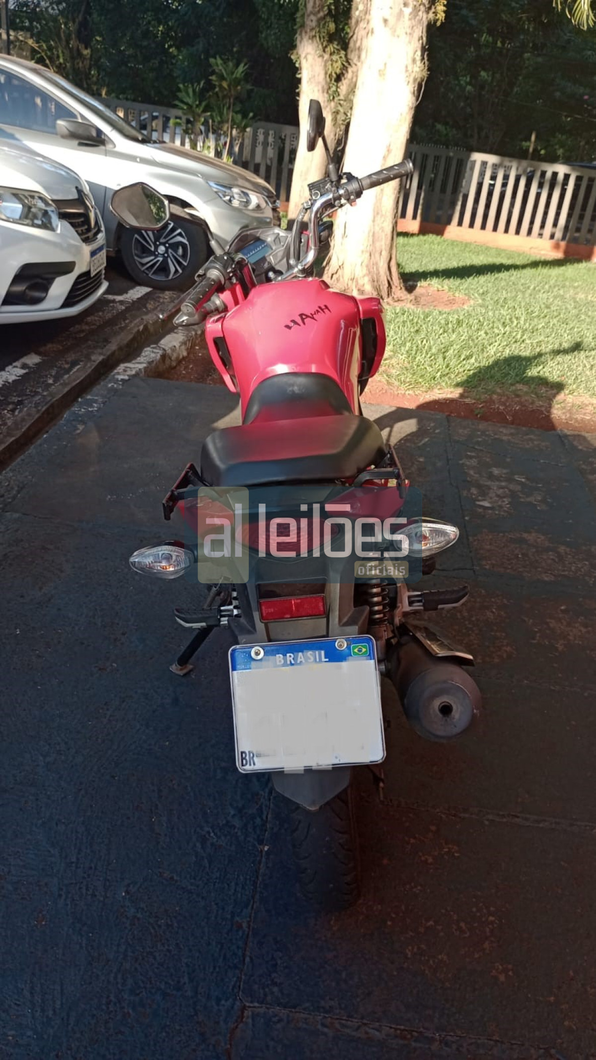 Imagem leilão