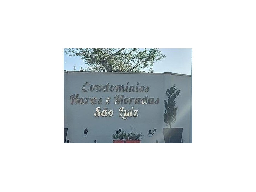 Imagem leilão