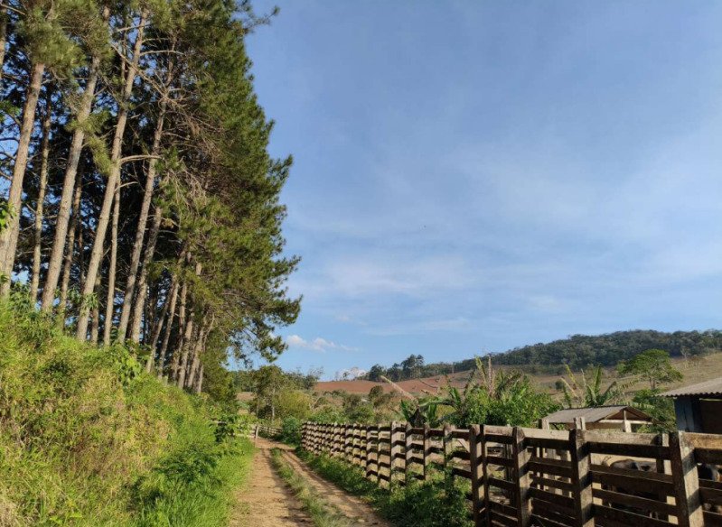 FAZENDA HAVAÍ COM ÁREA DE 33,7590 HA, COM GALPÃO E ESCR.. em Cristiano Otoni/MG - foto 7