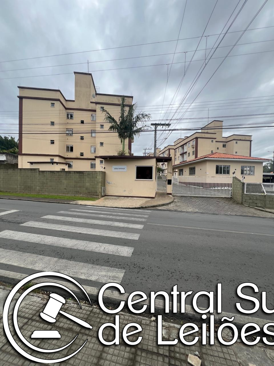 Imagem leilão