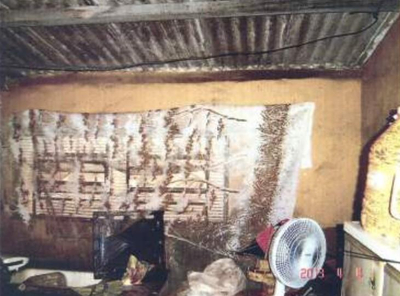 Imagem leilão
