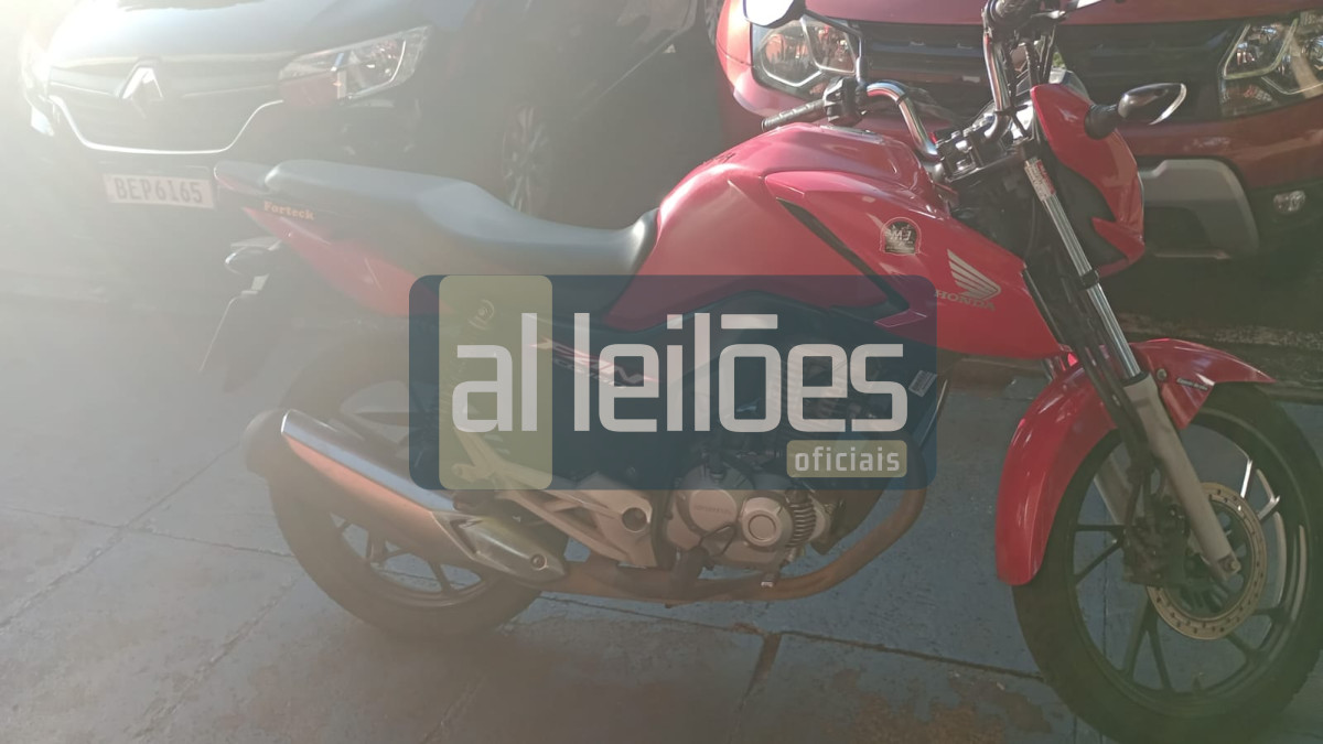 Imagem leilão