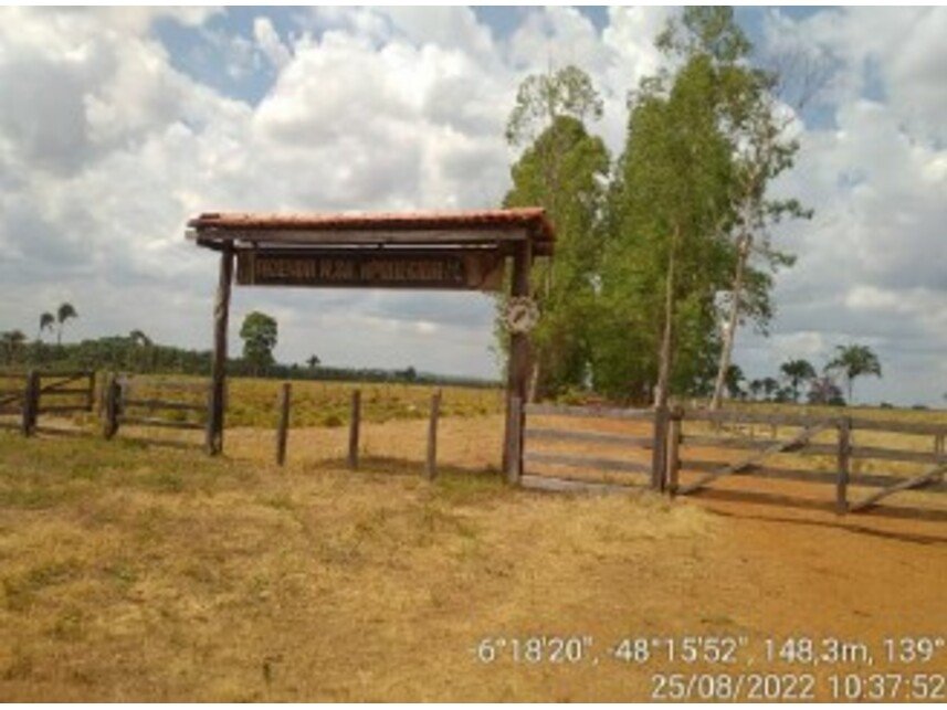 Imagem leilão