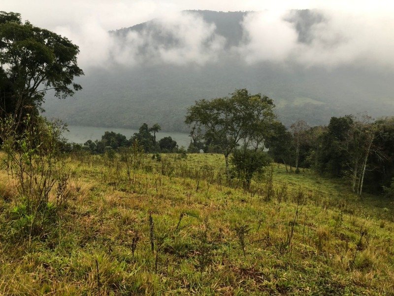 A FRAÇÃO IDEAL DE 50% (128.750,00M²) SOBRE O LOTE RURAL.. em Erval Grande/RS - foto 13
