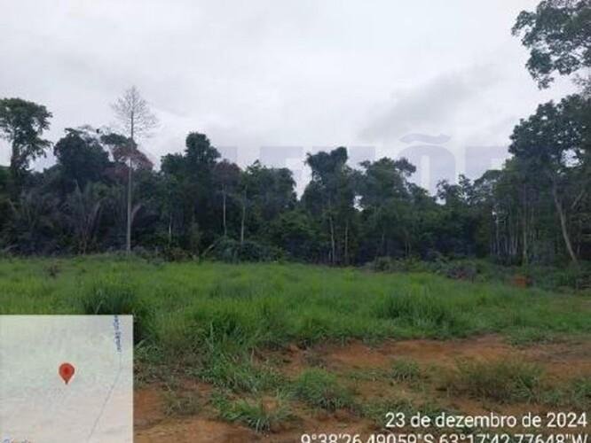 Imagem leilão