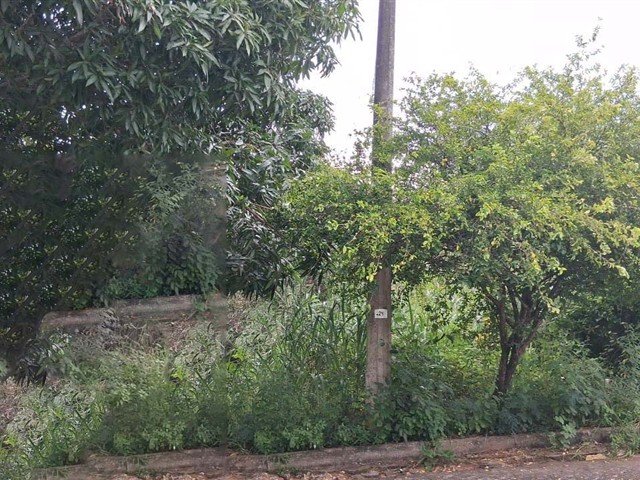 Terreno MINAÇU | GOIÁS em Minaçu/GO - foto 7