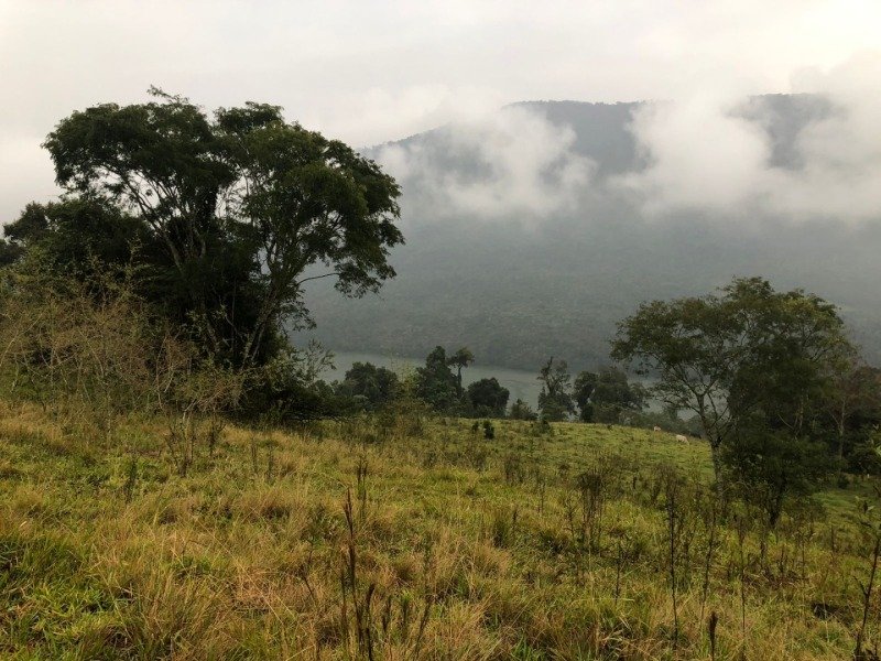 A FRAÇÃO IDEAL DE 50% (128.750,00M²) SOBRE O LOTE RURAL.. em Erval Grande/RS - foto 7