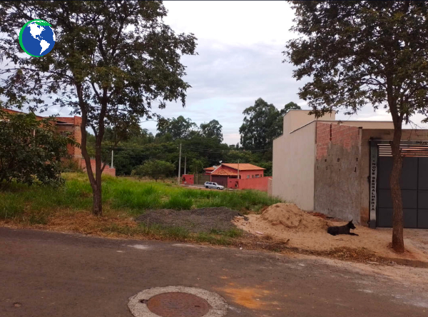 Imagem leilão