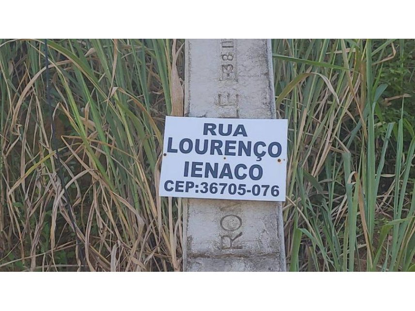 Imagem leilão