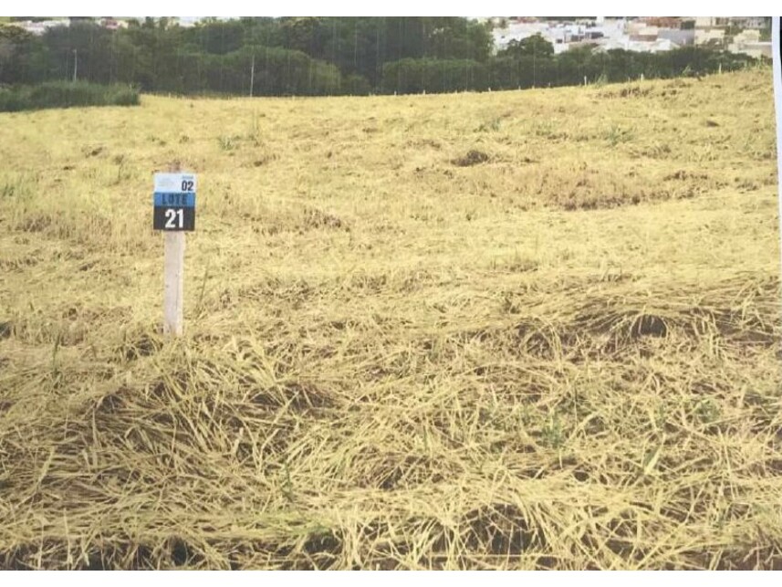 Imagem leilão