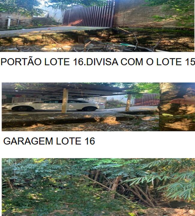 Imagem leilão