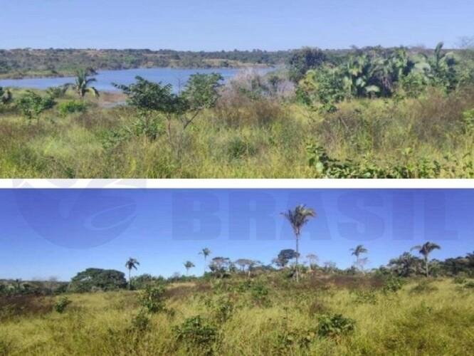 Imagem leilão