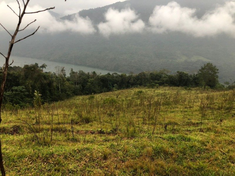 A FRAÇÃO IDEAL DE 50% (128.750,00M²) SOBRE O LOTE RURAL.. em Erval Grande/RS - foto 21