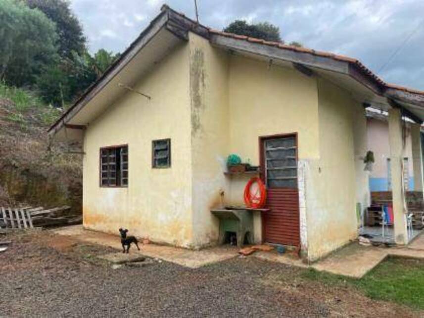 Imagem leilão