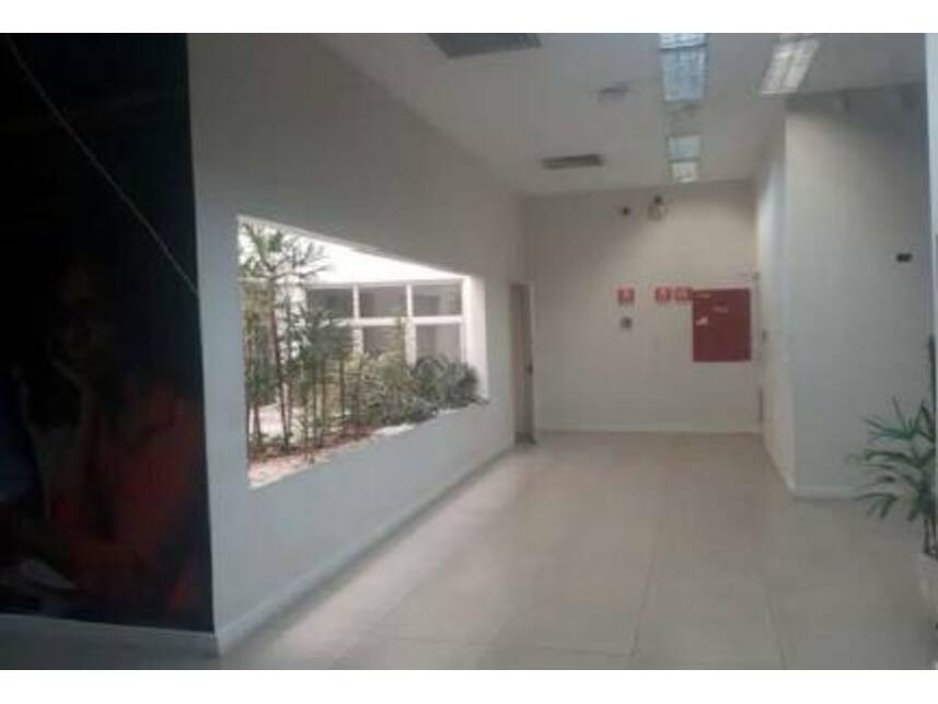 Imagem leilão