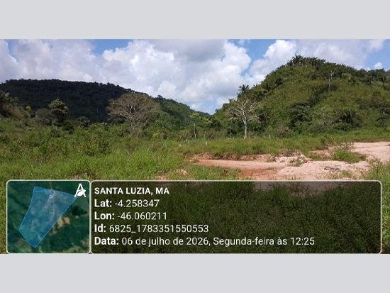 Imagem leilão