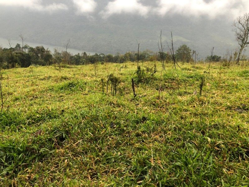 A FRAÇÃO IDEAL DE 50% (128.750,00M²) SOBRE O LOTE RURAL.. em Erval Grande/RS - foto 29