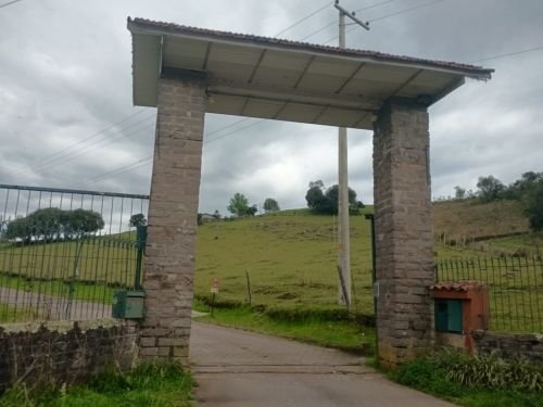 Imagem leilão