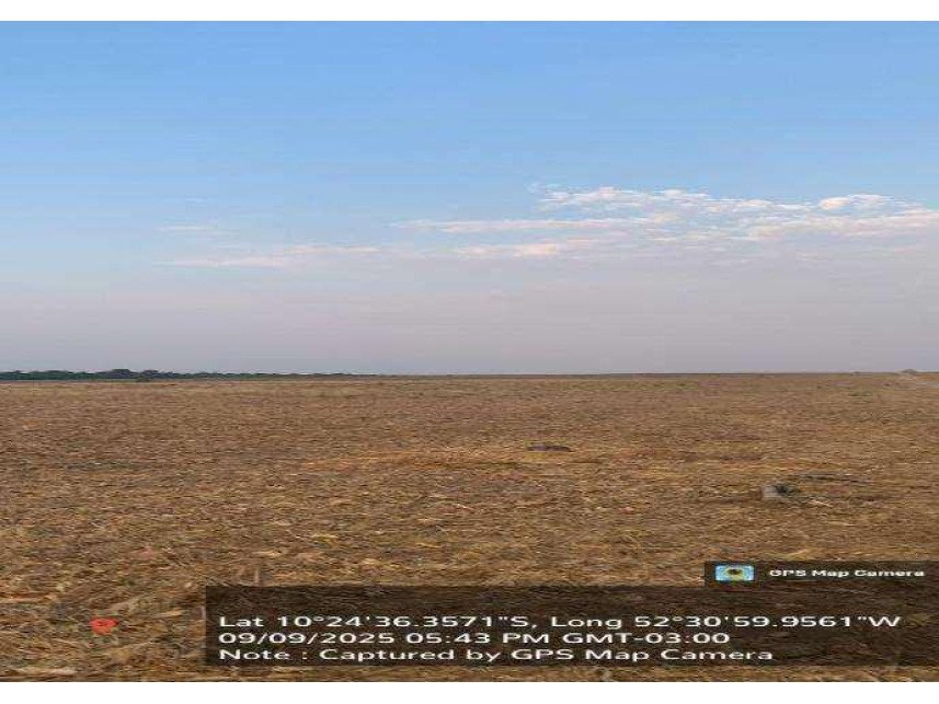 Imagem leilão