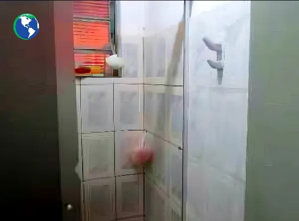 Imagem leilão