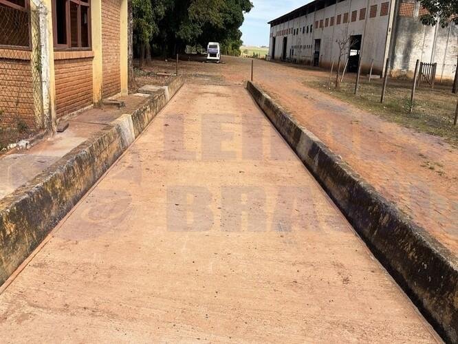Imagem leilão
