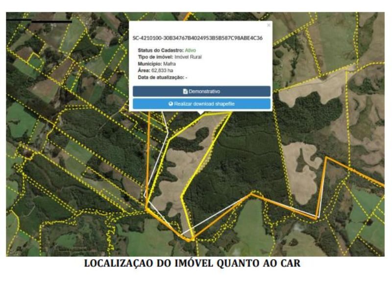 Imagem leilão