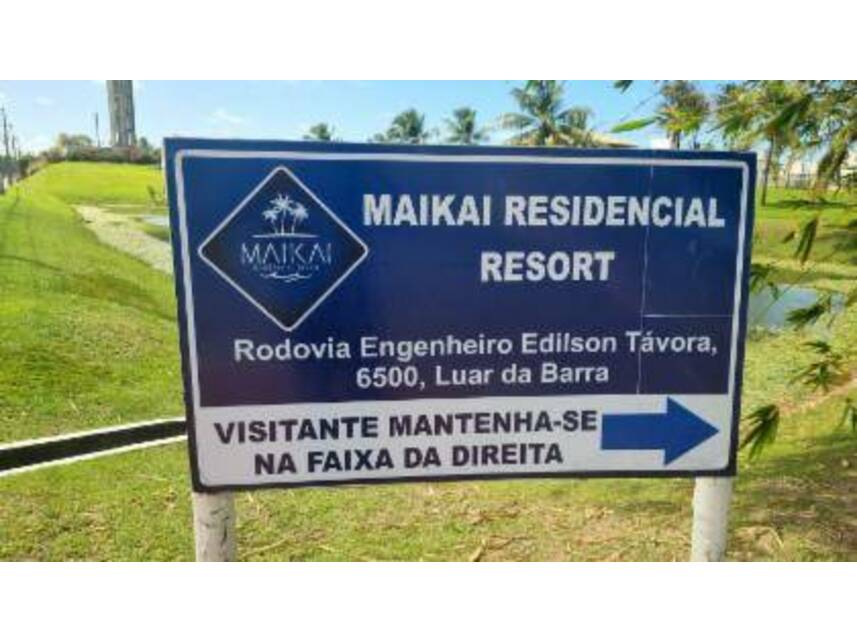 Imagem leilão