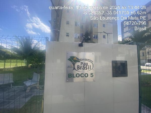 Imagem leilão